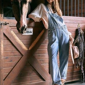 Free People Ziggy Overalls in Powder Blue
